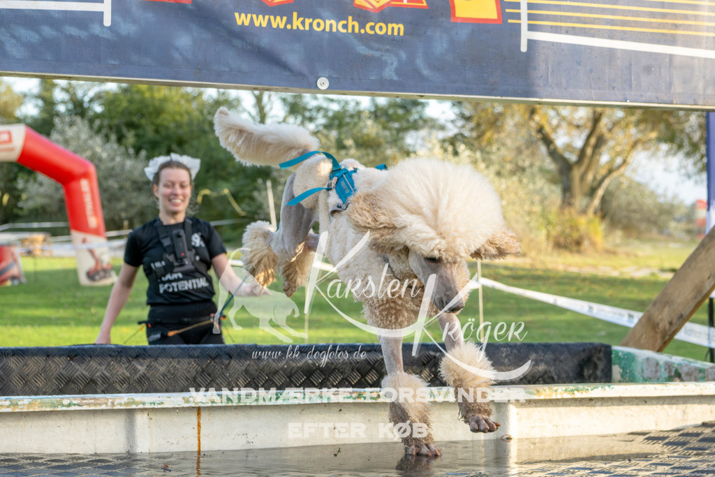 1644_ZZ99029 | kk-dogfotos