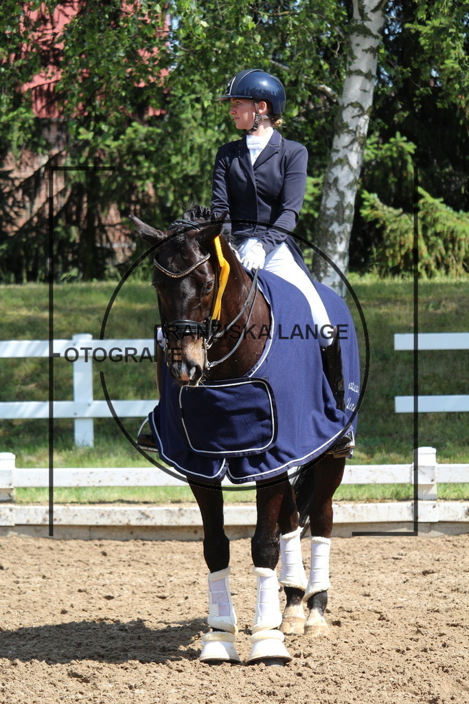 IMG_7264 | franziskalange - Realisiert mit Pictrs.com