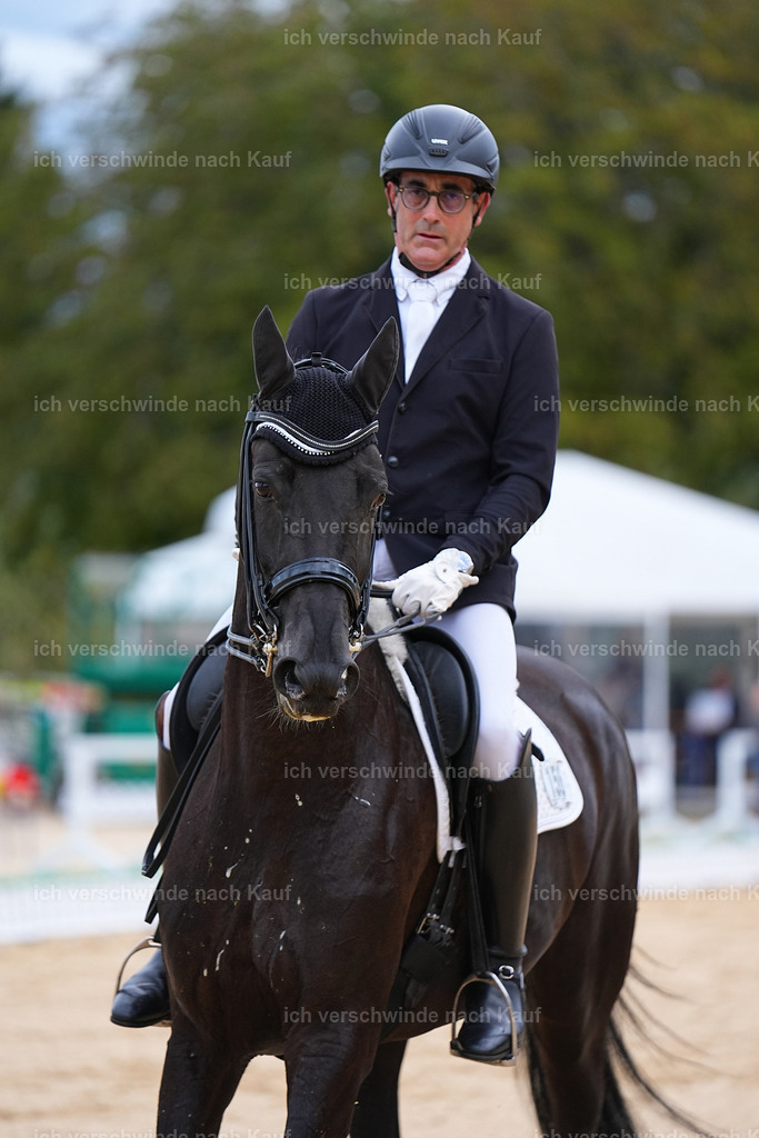 04_2-156-Dressur M__ -Marixx-3047 | working equitationturnier fotograf videograf stoibphotography marixx film working equitation deutschland reitsport turnierfotografie eventfotografie equestrian events