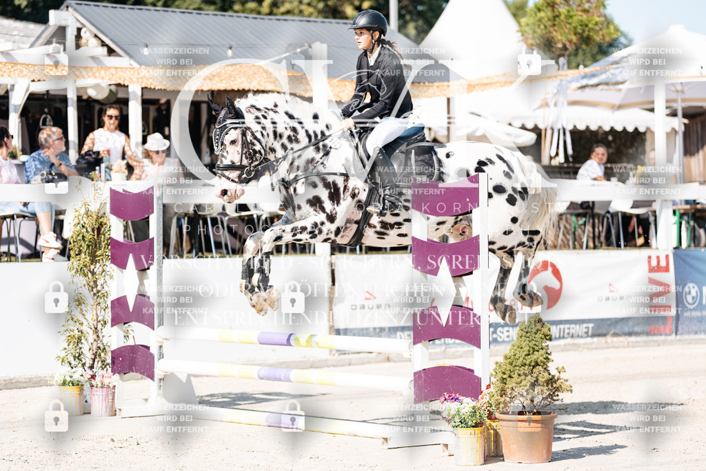 CK905021 | Turnierfotografie Pferdefotografie Trier Rheinland-Pfalz Pferdesport Reitsport Tierfotografie Sportfotografie Pferdevideo Pferdevideografie Equestrianvideography equestrianphotography  - Realisiert mit Pictrs.com