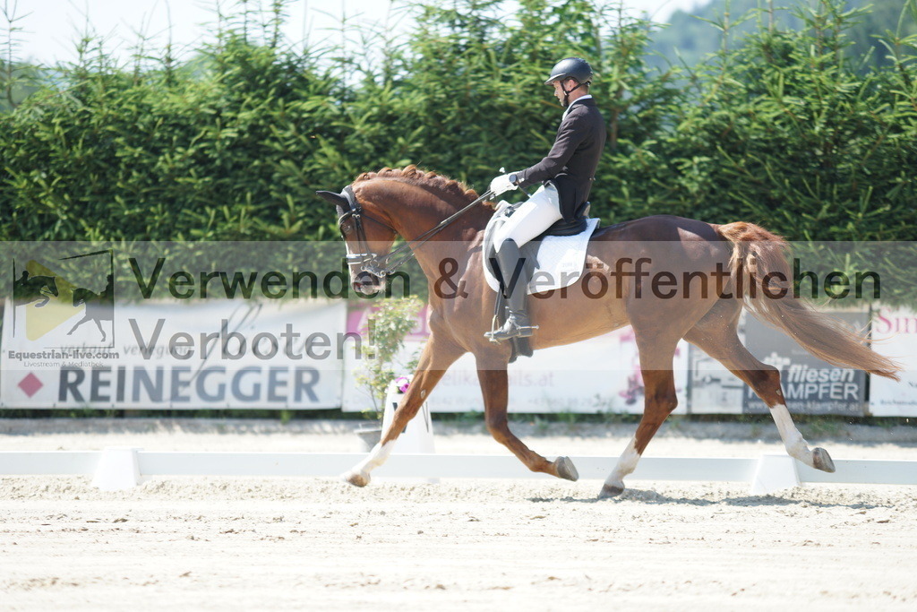 DSC02307 | equestrian-live-com