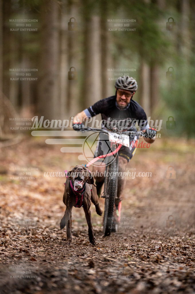 SPA_2023_DIM_Scooter-26 | PayLife