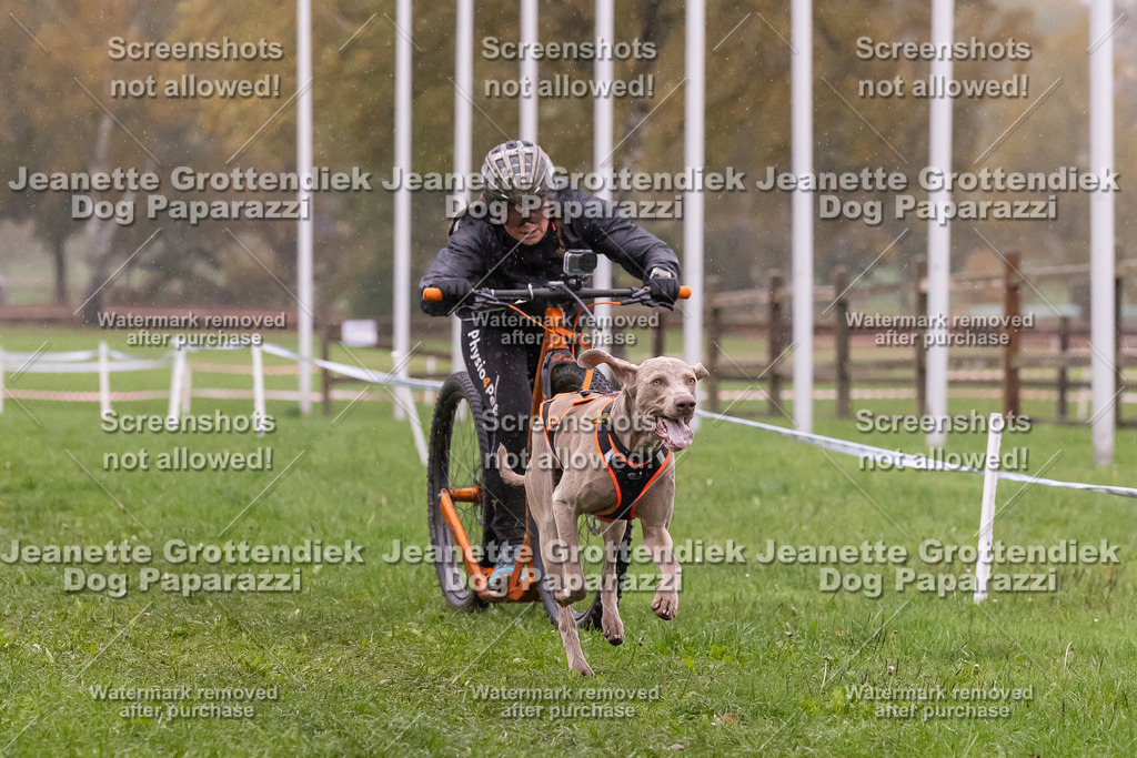 Dog Paparazzi - SD CaniX Championship 2025-903 | Dog Paparazzi Jeanette Grottendiek Fotografie & Videografie - Realisiert mit Pictrs.com