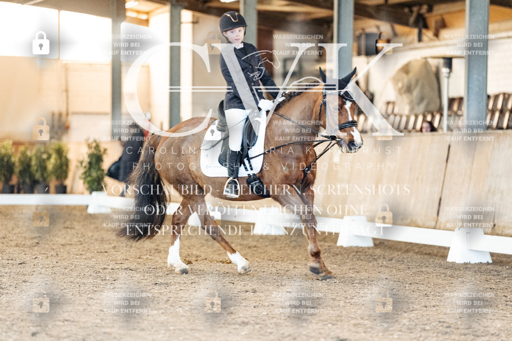 CK907078 | Turnierfotografie Pferdefotografie Trier Rheinland-Pfalz Pferdesport Reitsport Tierfotografie Sportfotografie Pferdevideo Pferdevideografie Equestrianvideography equestrianphotography  - Realized with Pictrs.com