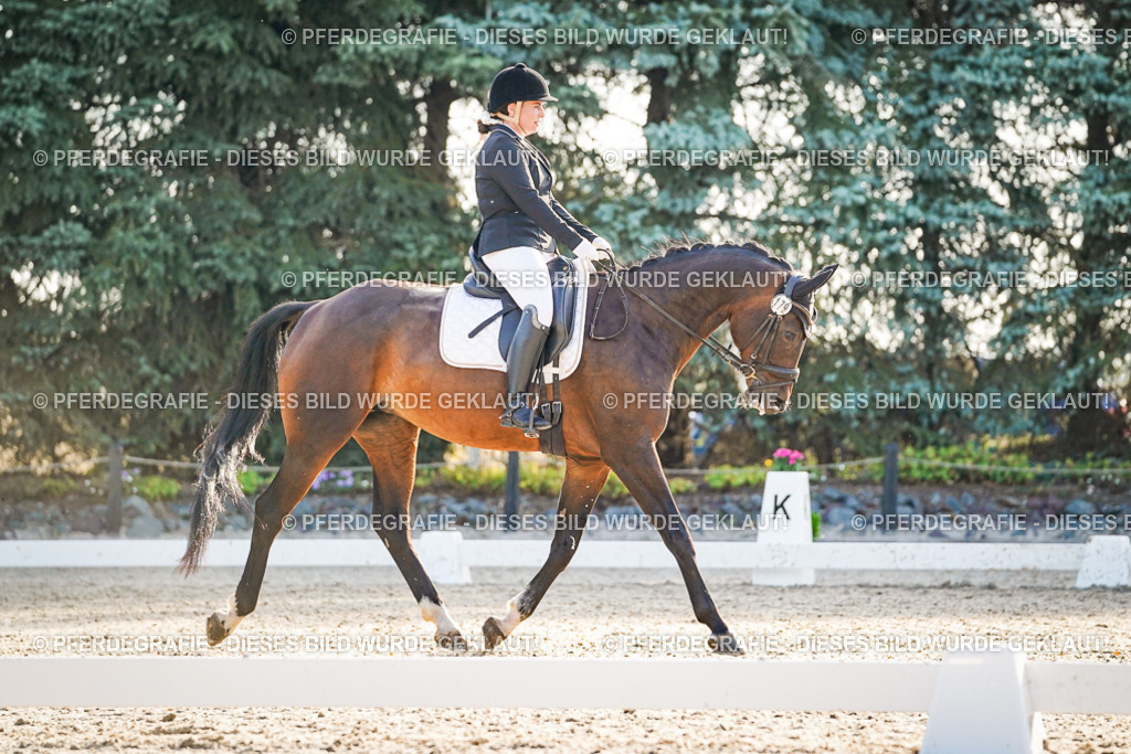 DSC08103 | Pferdegrafie