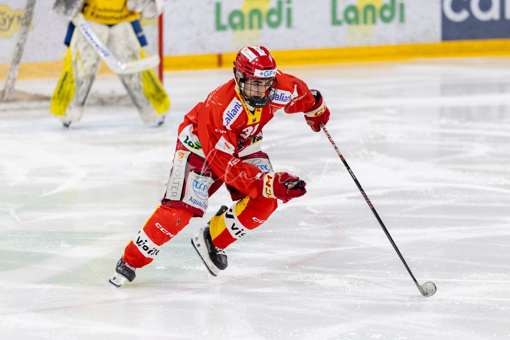 EHCB vs HCD 20262703-420671488 | Sportbilder, Sportfotograf, Hochzeits- und Eventfotografin, Flugshows, Portraits und Tiershooting, Aviation, Downhill, Nationalleague, Swissleague, International