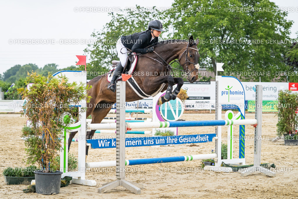 DSC00647 | Pferdegrafie