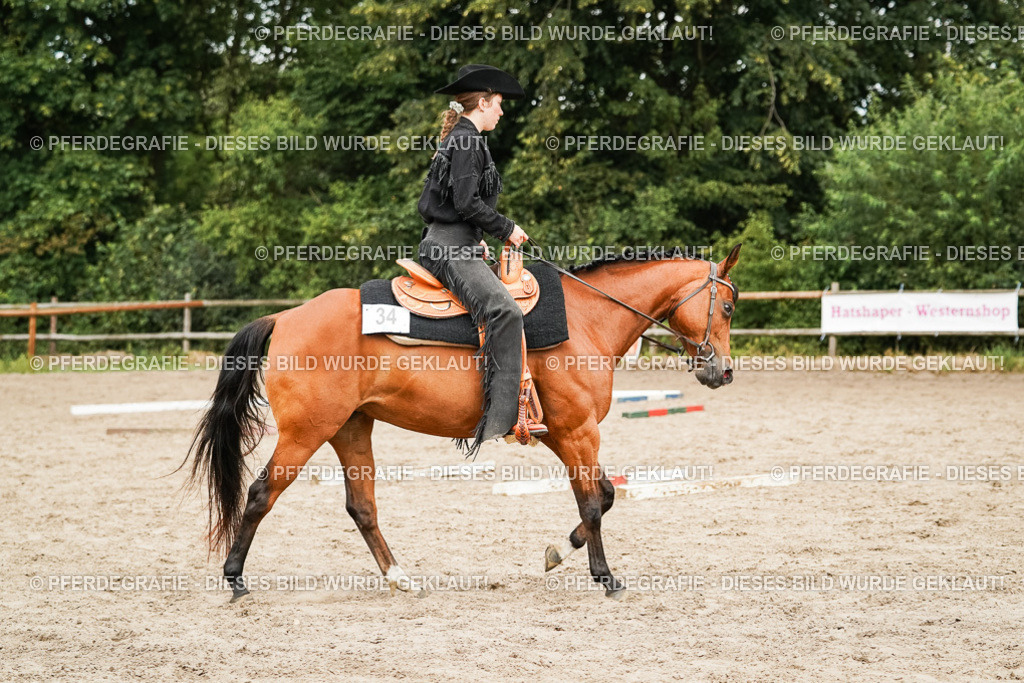 DSC08269 | Pferdegrafie