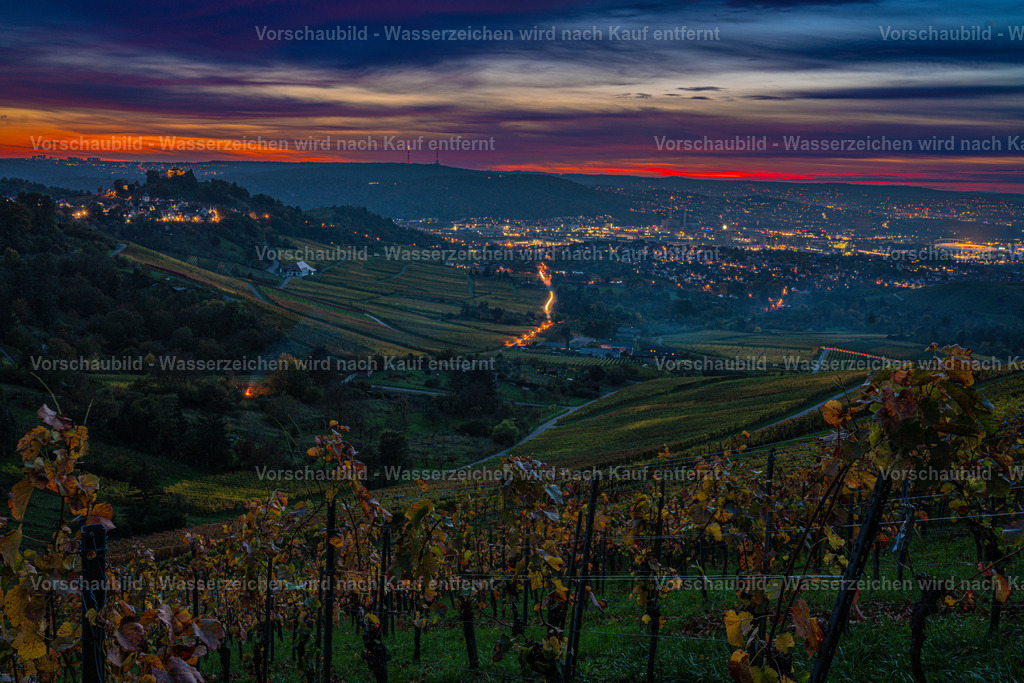 DSC05965 | marcuslinek