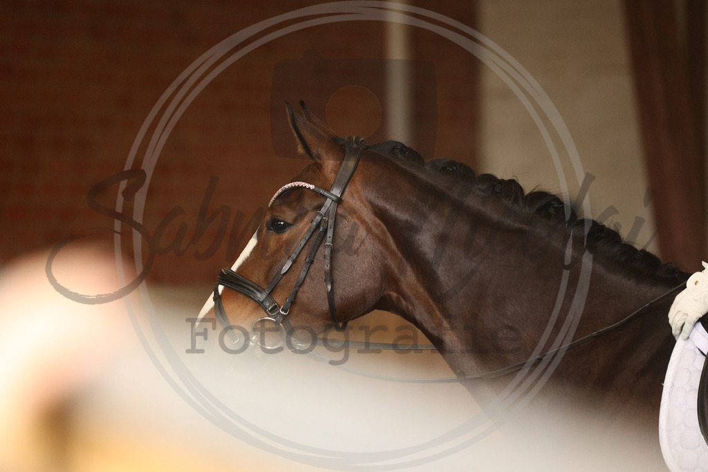 994A9112 | sabrinanicolaifotografie - Realisiert mit Pictrs.com