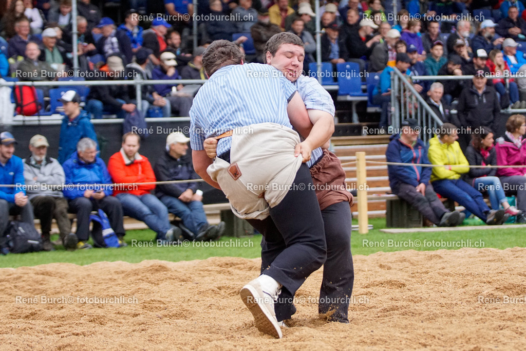 _DSC0301 | René Burch leidenschaftlicher Fotograf aus Kerns in Obwalden.  Hier finden sie Sport, Landschaft und Natur Fotografie.
 - Realisiert mit Pictrs.com
