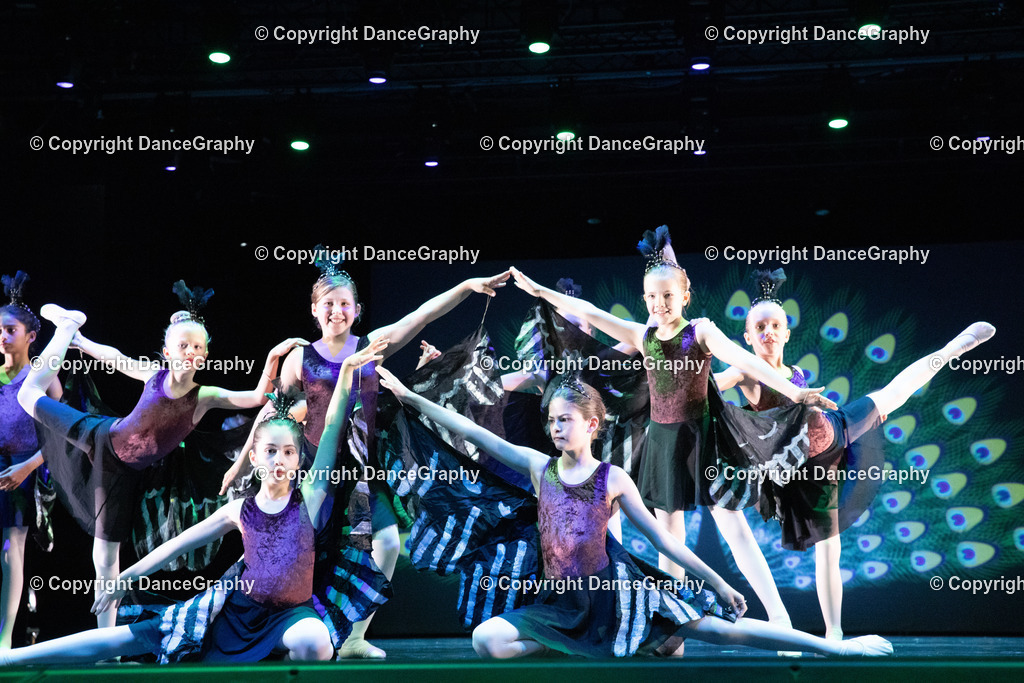 GPHY6175 | DanceGraphy - Realisiert mit Pictrs.com