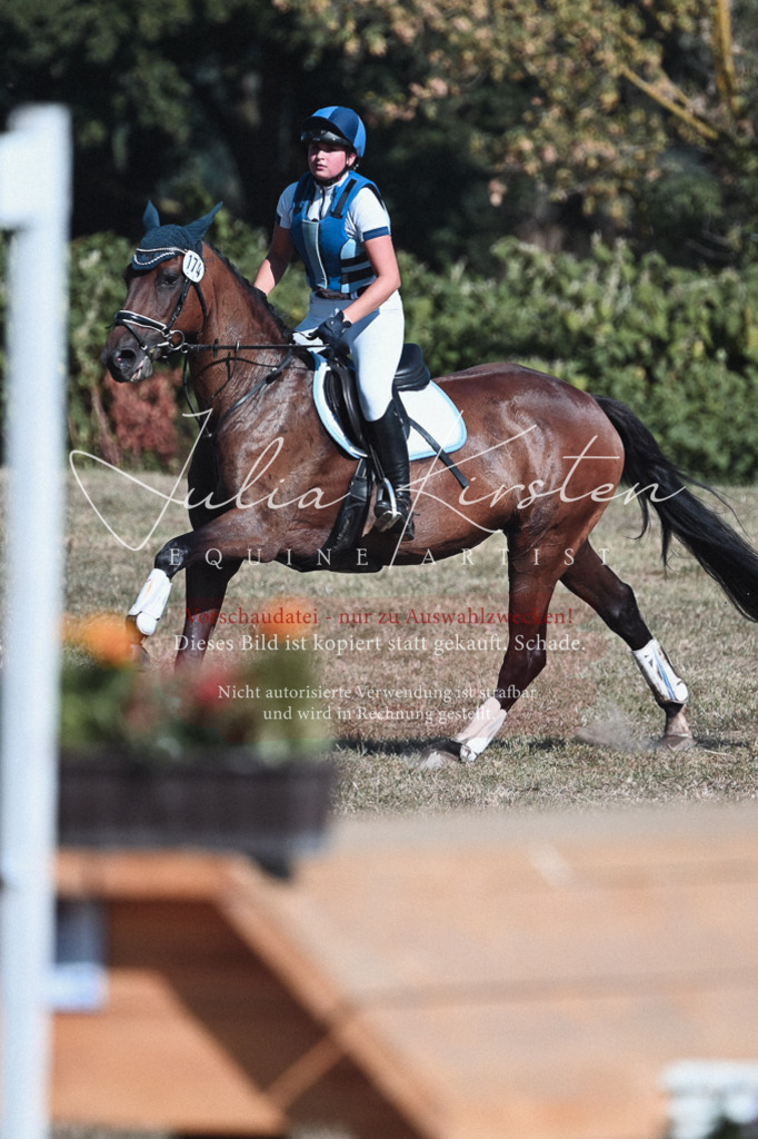 DSC_8711 | Pferde- und Turnierfotografie in Westsachsen. Pferdeportraits, Auftragszeichnungen und intuitive Kunst.