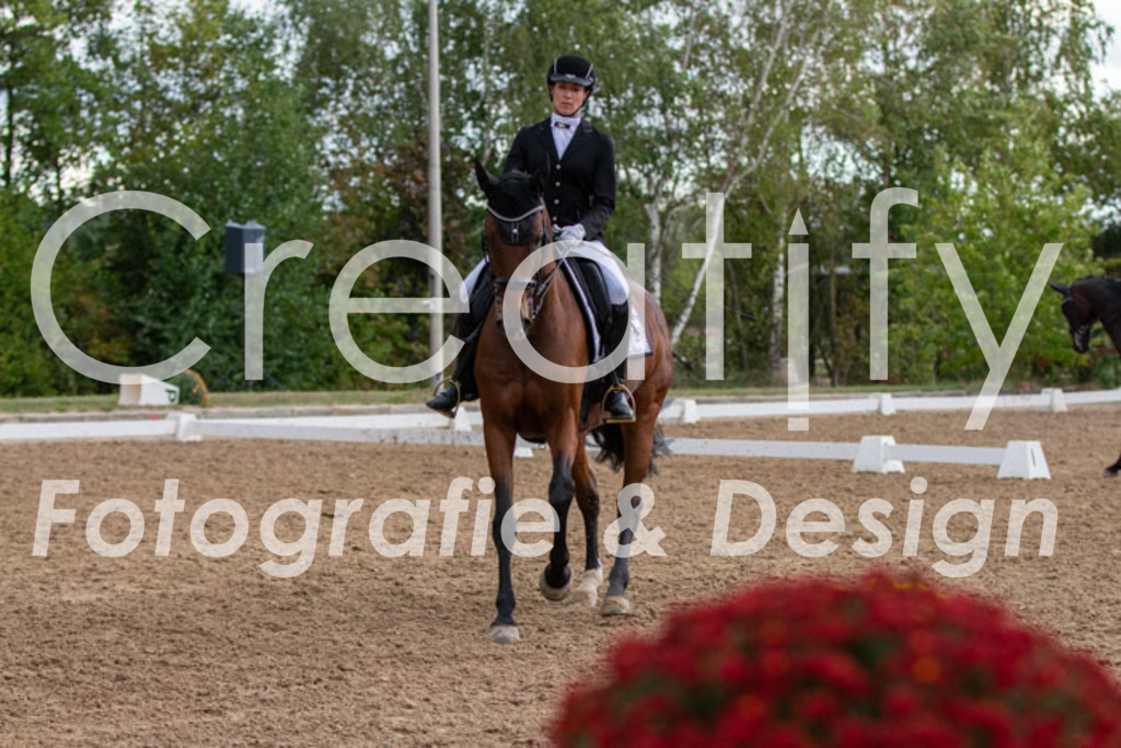 IMG_5695 | Creatify Fotografie