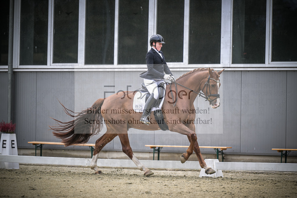 DOS_0883 | Entdecke hochwertige Reitturnierfotos von Foto Oger. Professionell, emotional und authentisch – jetzt Lieblingsmomente im Shop bestellen.Deutschlandweite Turnierfotografie. - Realisiert mit Pictrs.com