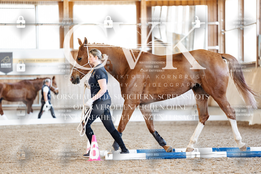 CK906062 | Turnierfotografie Pferdefotografie Trier Rheinland-Pfalz Pferdesport Reitsport Tierfotografie Sportfotografie Pferdevideo Pferdevideografie Equestrianvideography equestrianphotography  - Realisiert mit Pictrs.com