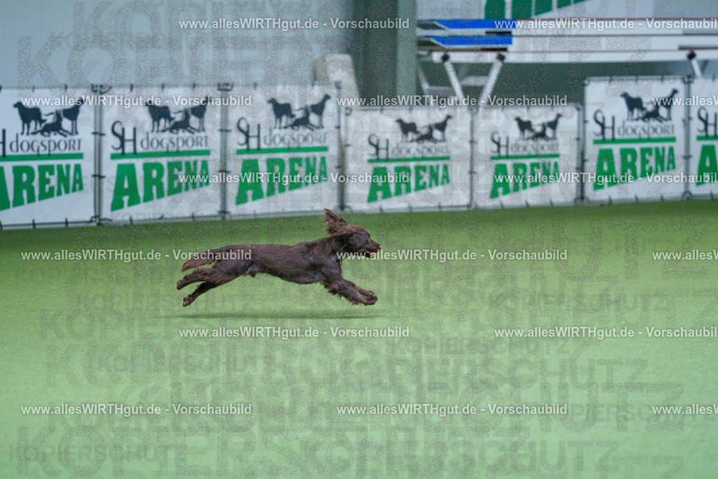 @allesWIRTHgut_Tierfotografie - www.allesWIRTHgut.de - 2604260804-7R506561 | Professionelle Tierfotografie in Mönchengladbach von Daniel Wirth (allesWIRTHgut). Liebevolle & natürliche Bilder von Hunden & Katzen für unvergessliche Erinnerungen.