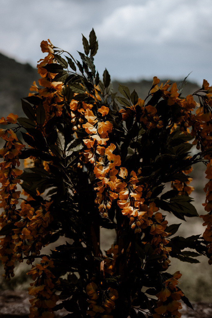 Verdonschlucht | Print Shop 
Fotografie
Posterdruck
Landschaftsfotografie
Reisefotografie
Naturfotografie
Anja Brandes Poster 
Anja Brandes Photography 
Prints for Walls 
Printable 
Posterdrucke
Poster aesthetic 
Poster Wall 
Poster Prints 
Poster schwarz weiß - Realisiert mit Pictrs.com