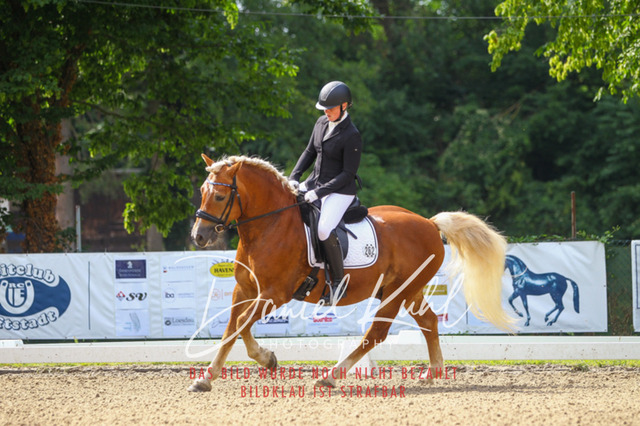 DKP41890 | Turniersportfotografie; Pferdefotografie; Dressurfotografie