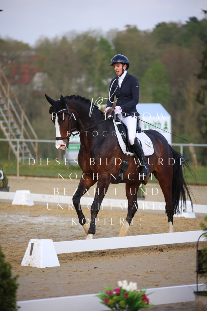 IMGT8631 | pl-fotografie