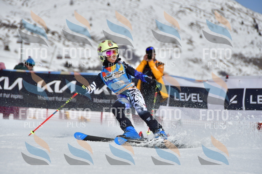 _DSC6849 | holidayphoto