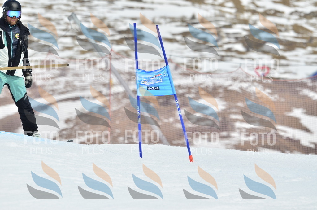 _ELE2110 | holidayphoto