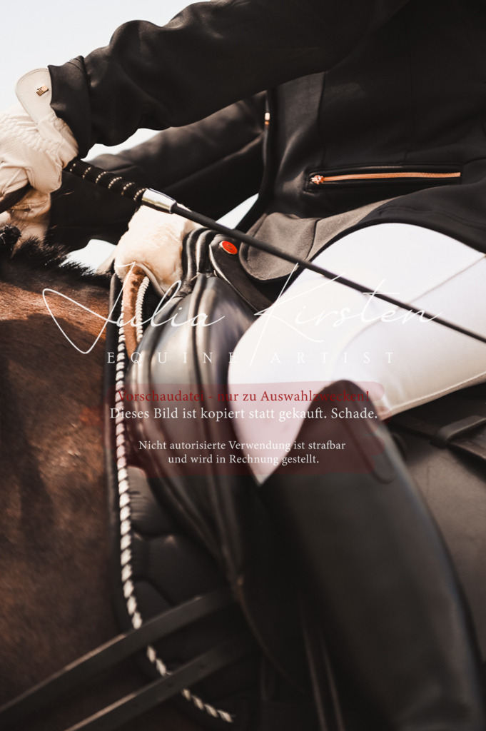 DSC_6355 | Pferde- und Turnierfotografie in Westsachsen. Pferdeportraits, Auftragszeichnungen und intuitive Kunst.