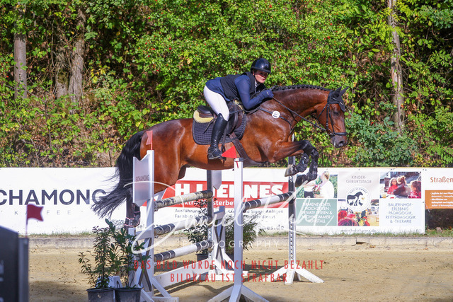 DKP42444 | Turniersportfotografie; Pferdefotografie; Dressurfotografie