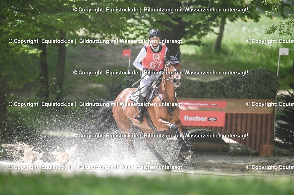 20250517_CCI2_Gelände_1926 | Foto: Thomas Hartig