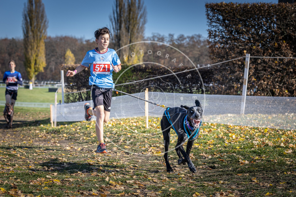 CaniXpix_DV3A8889 | Hundefotografie, Tierfotograf, Pfotenfotografie, Fotoshooting Hund, Hunde Portrait, Hundesport, Hundeportraits, Heideshooting, Hunde, Sportfotograf, Hundefotograf, Turnierhundsport, THS,  - Realisiert mit Pictrs.com