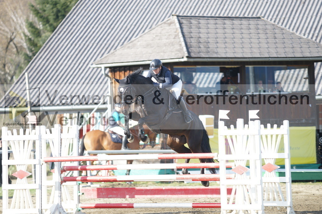 DSC03386 | equestrian-live-com