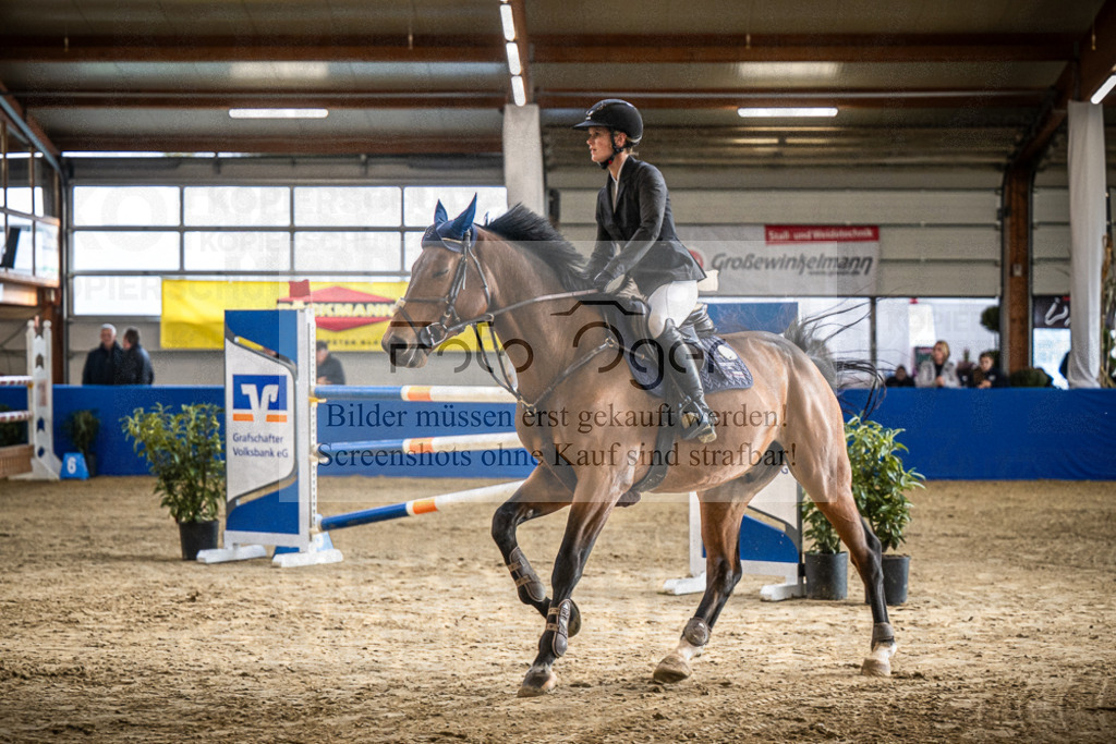 DOS_0266 | Entdecke hochwertige Reitturnierfotos von Foto Oger. Professionell, emotional und authentisch – jetzt Lieblingsmomente im Shop bestellen.Deutschlandweite Turnierfotografie. - Realisiert mit Pictrs.com