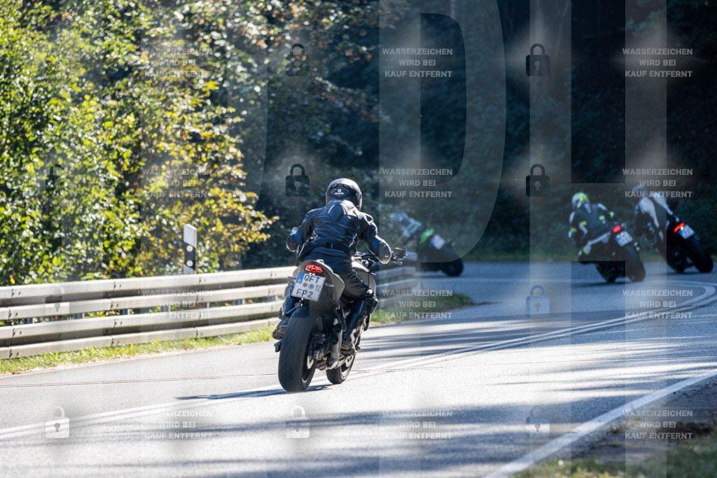 IMG_3538 | jrph - Realisiert mit Pictrs.com