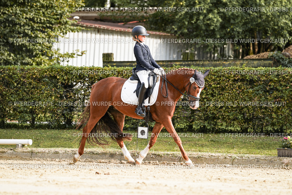 DSC05880 | Pferdegrafie