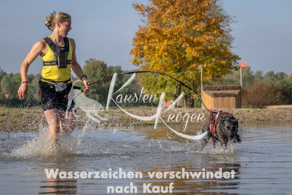 1031_ZZ93713 | kk-dogfotos