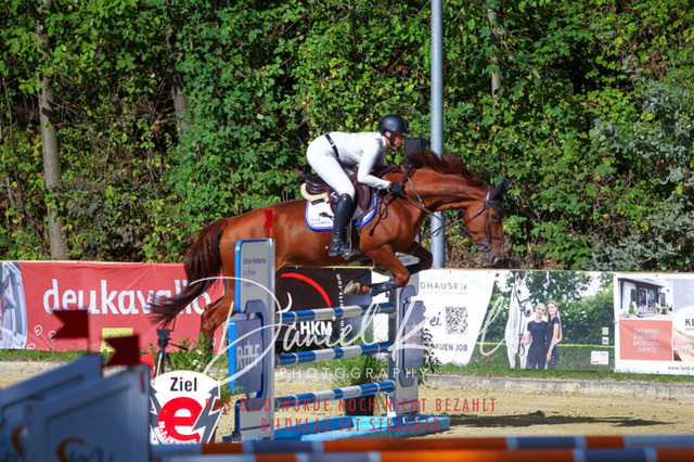 DKP43445 | Turniersportfotografie; Pferdefotografie; Dressurfotografie