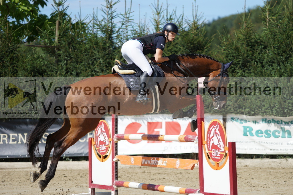 DSC01367 | equestrian-live-com