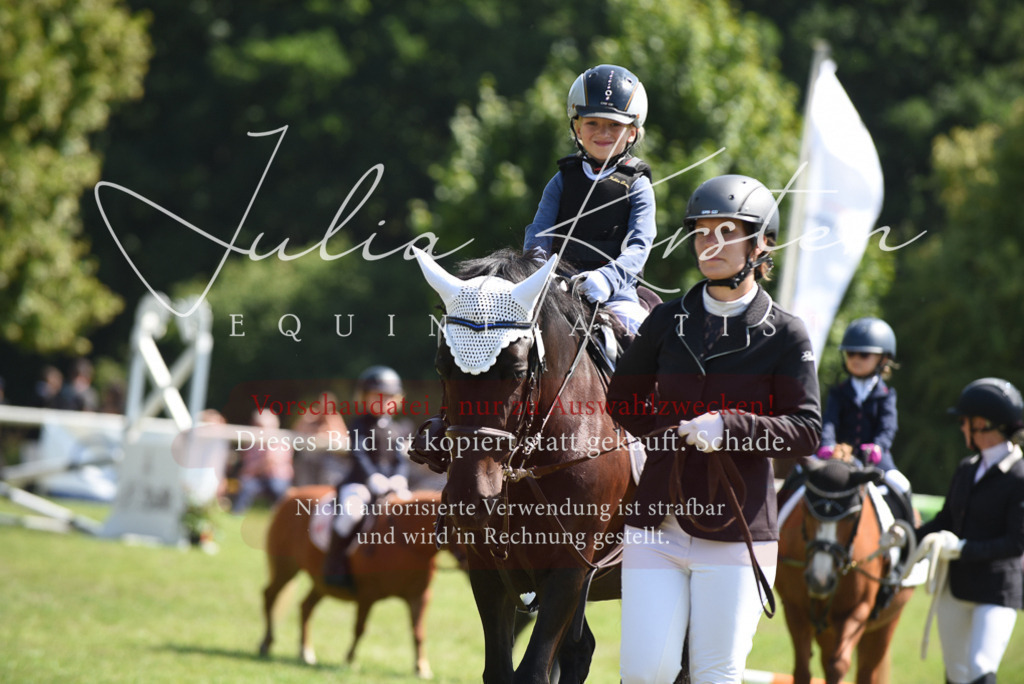 DSC_9859 | Pferde- und Turnierfotografie in Westsachsen. Pferdeportraits, Auftragszeichnungen und intuitive Kunst.