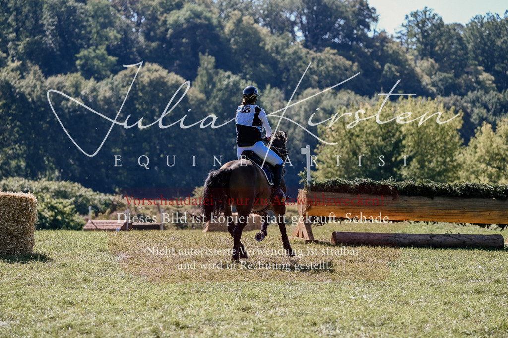 DSC_1323 | Pferde- und Turnierfotografie in Westsachsen. Pferdeportraits, Auftragszeichnungen und intuitive Kunst.