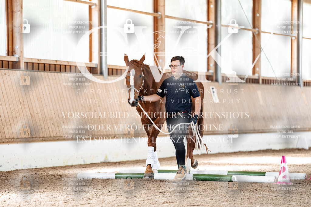 CK905824 | Turnierfotografie Pferdefotografie Trier Rheinland-Pfalz Pferdesport Reitsport Tierfotografie Sportfotografie Pferdevideo Pferdevideografie Equestrianvideography equestrianphotography  - Realisiert mit Pictrs.com