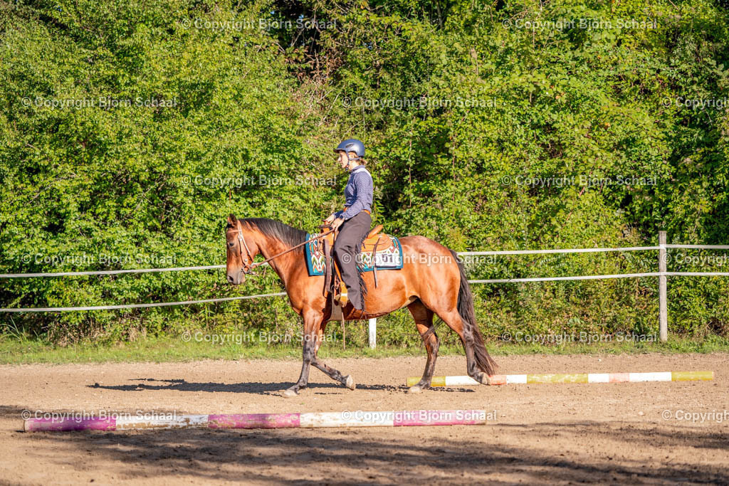 SAL02518 | BS-foto