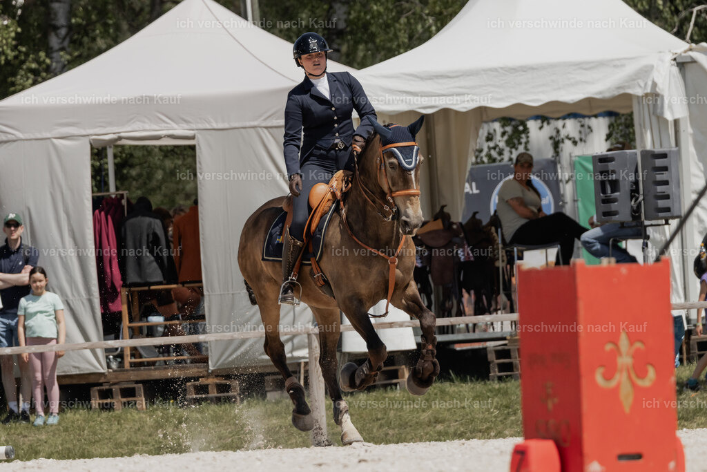 WE_SP_Stoib_329_PI2025_2014 | Pferd International München 2025