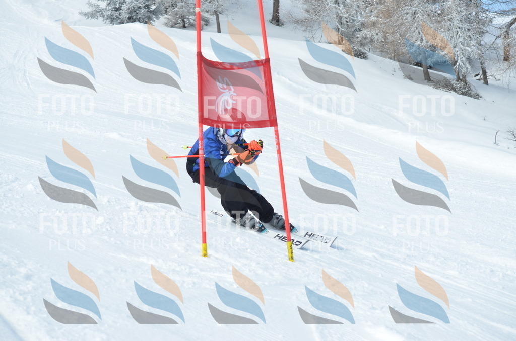 D8890 | holidayphoto