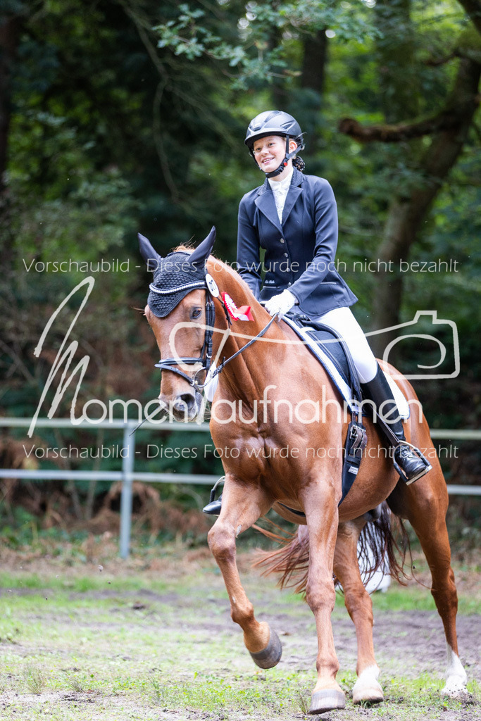 HB-A-Dressur-190 | MomenTaufnahmen Pferdesportfotos