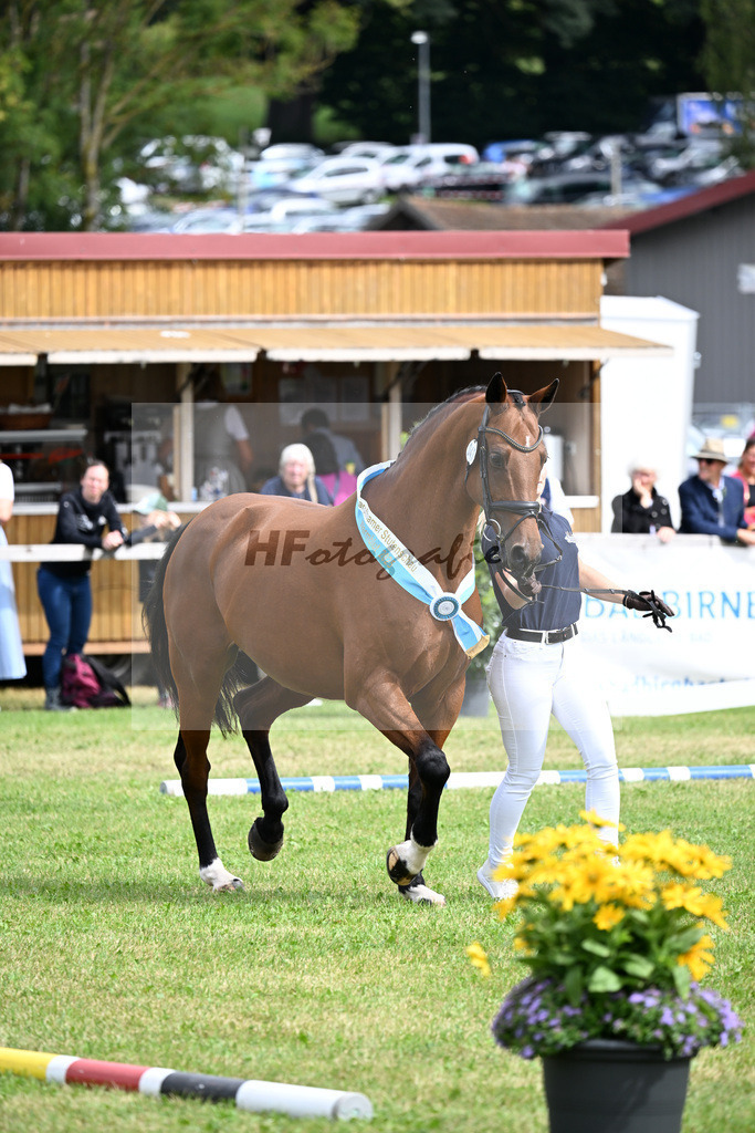 Kat-Nr. 47 Oboe Incipit DSP v. Clarimo_Maier_30251100 | hf-fotografie - Realisiert mit Pictrs.com