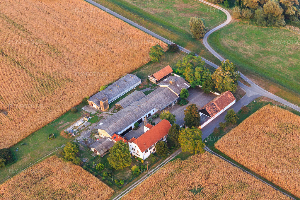 Luftbild: Hofgut Ludwigsau im Ortsteil Maximiliansau in Wörth im Bundesland Rheinland-Pfalz in Deutschland. Foto: IMG_110774.jpg vom 05.09.2018 durch Werner Riehm/FLY-FOTO.deHofgut Ludwigsau