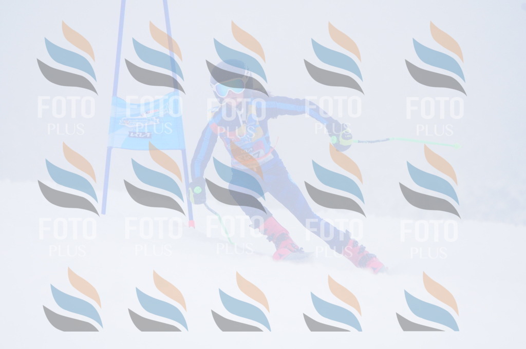 C3606 | holidayphoto