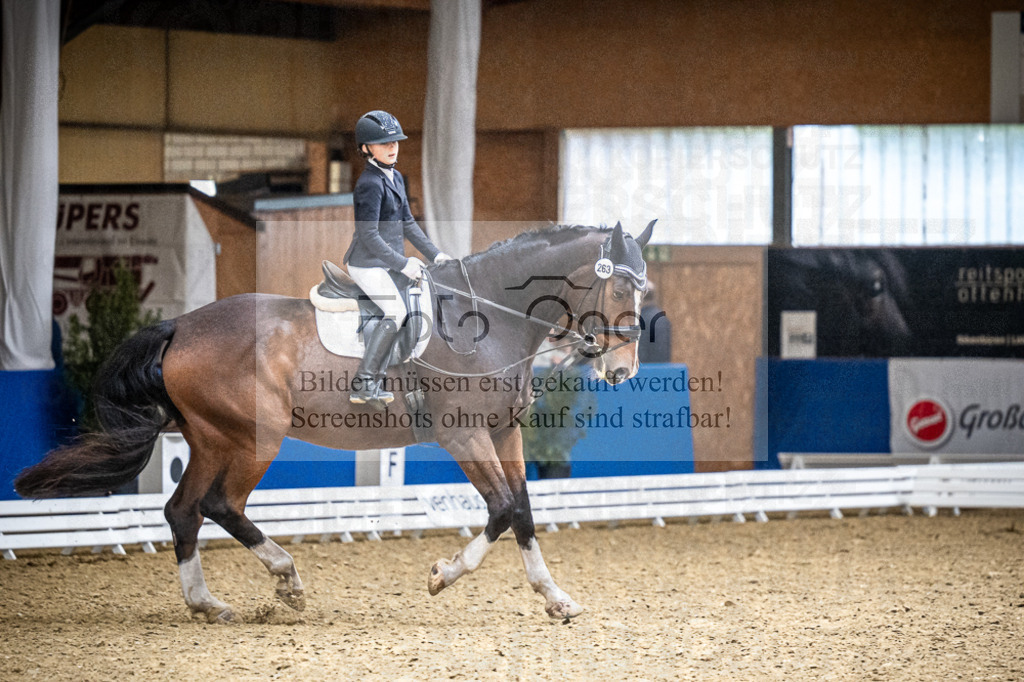 DOS_2494 | Entdecke hochwertige Reitturnierfotos von Foto Oger. Professionell, emotional und authentisch – jetzt Lieblingsmomente im Shop bestellen.Deutschlandweite Turnierfotografie. - Realisiert mit Pictrs.com