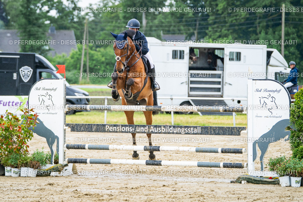 DSC03621 | Pferdegrafie