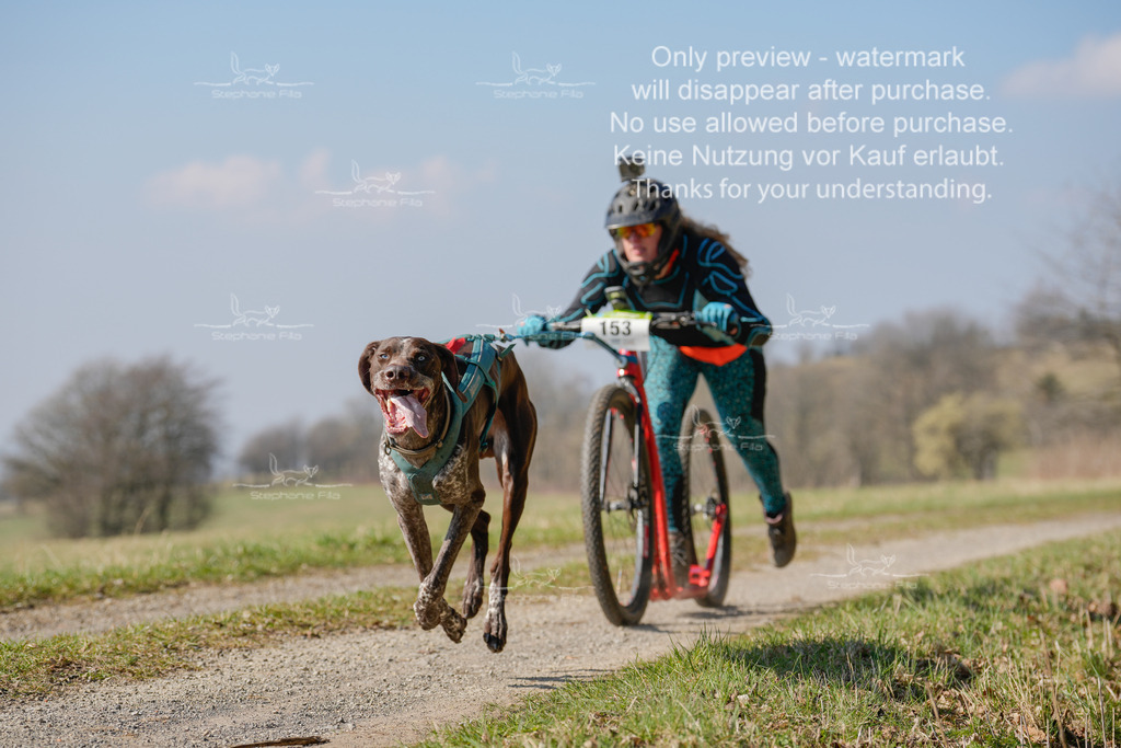 Scooter_Lang-85 | stephaniefillaphotographie - Realisiert mit Pictrs.com